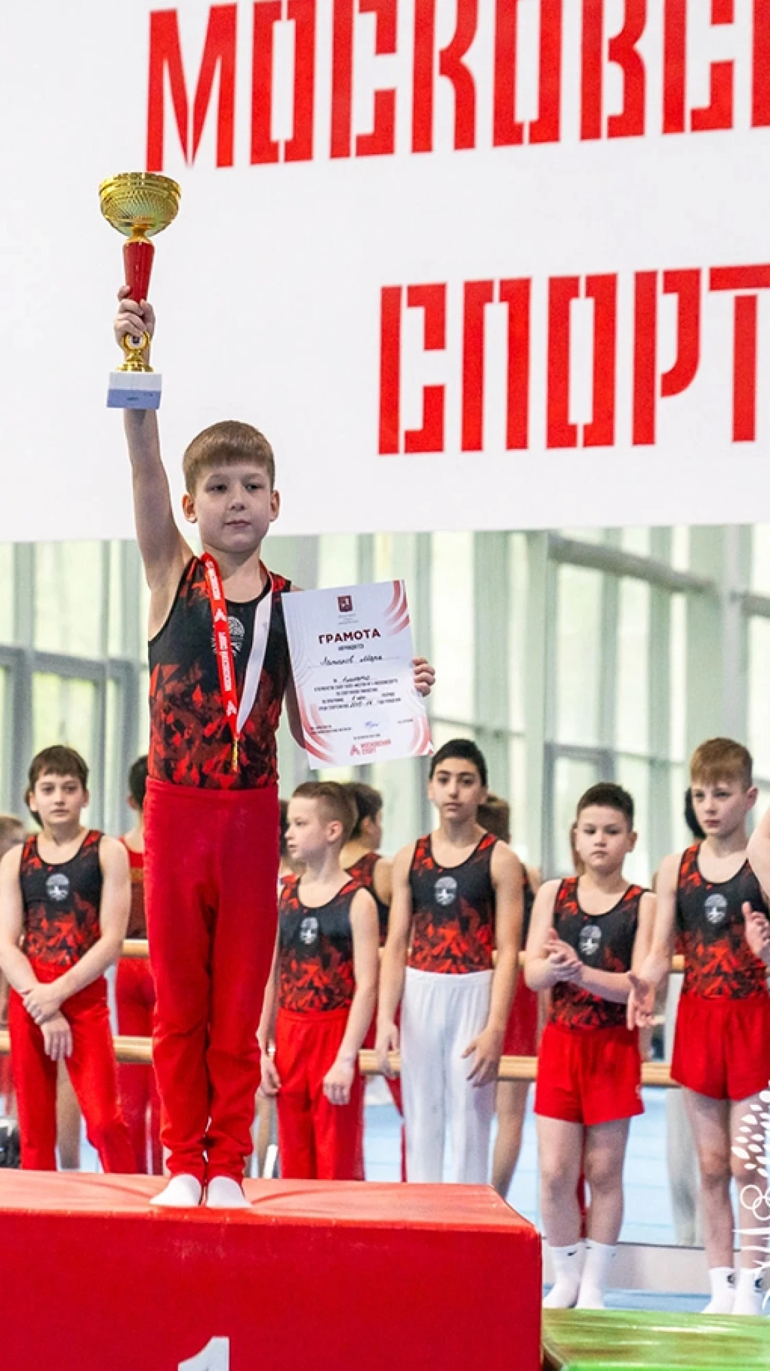 Спортивная гимнастика Спортивная гимнастика - Lookbook_kupalniki_dlya_sportivnoi_gimnastiki_komandam (lookbook) - START2GYM