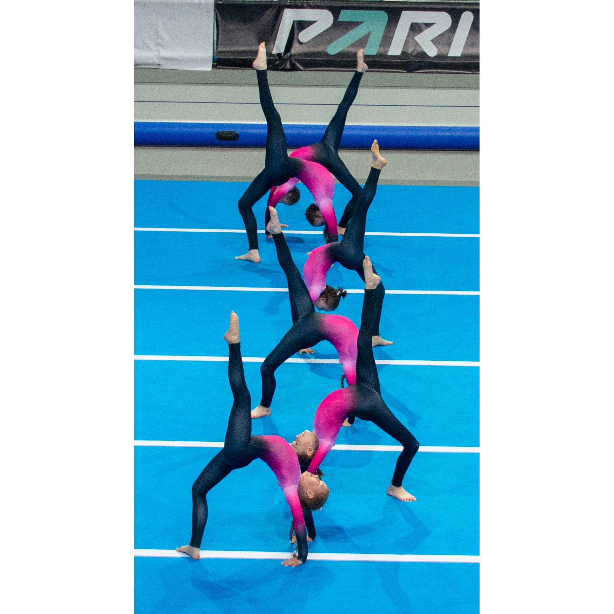 teamgym истра1